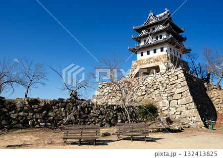 兵庫県洲本市_洲本城跡52_2025年1月 132413825