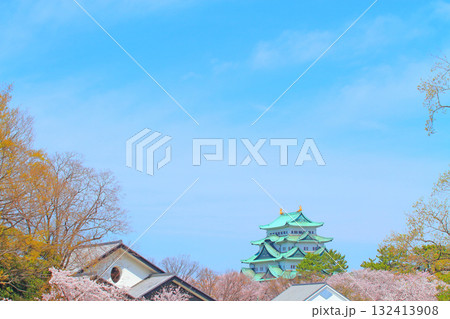 愛知県名古屋市、満開の桜と名古屋城の風景 132413908