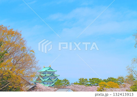 愛知県名古屋市、満開の桜と名古屋城の風景 132413913