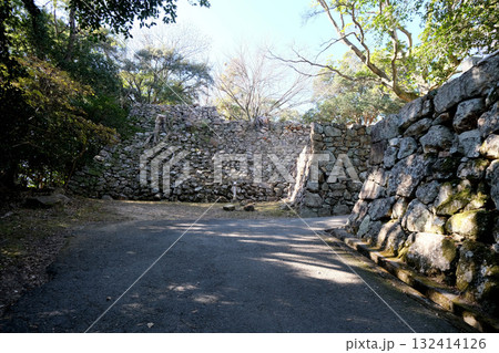 兵庫県洲本市_洲本城跡4_2025年1月 132414126