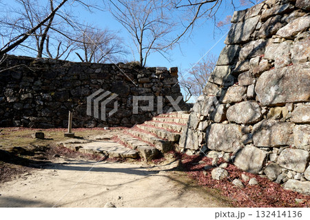 兵庫県洲本市_洲本城跡14_2025年1月 132414136