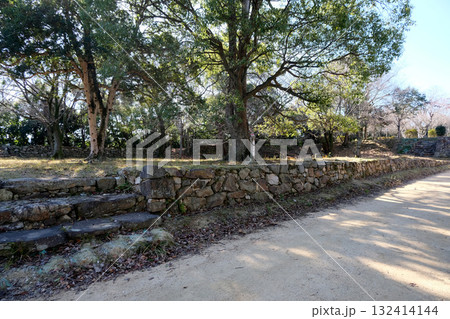 兵庫県洲本市_洲本城跡21_2025年1月 132414144