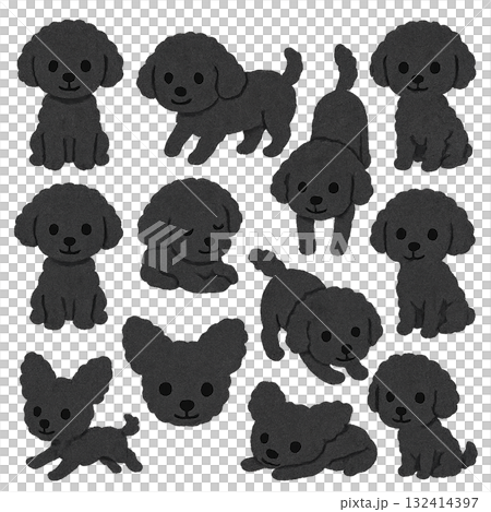 可愛いトイプードルのイラストセット 132414397