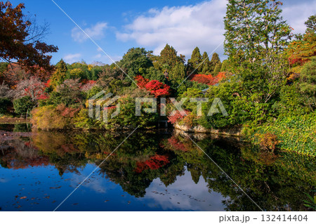 Ryoan-ji Temple pond with colorful maple foliage autumn garden, Kyoto Ryoan-ji Temple pond with colorful maple foliage autumn garden, Kyoto 132414404