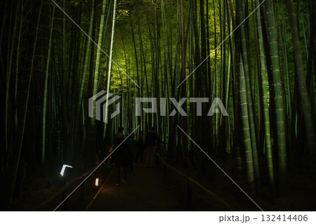 Silhouette people visit Bamboo grove light up, Kodai-ji, Kyoto Silhouette people visit Bamboo grove light up, Kodai-ji, Kyoto 132414406