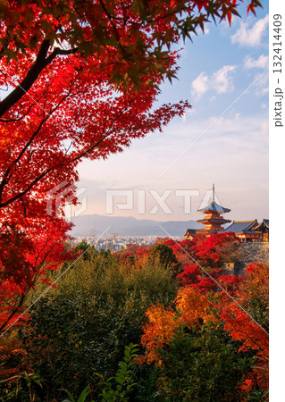 Kiyomizu-dera temple and city vetical view in autumn leaf, Kyoto Kiyomizu-dera temple and city vetical view in autumn leaf, Kyoto 132414409