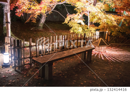 Autumn garden illumination at night of Hogonin temple, Arashiyama 132414416