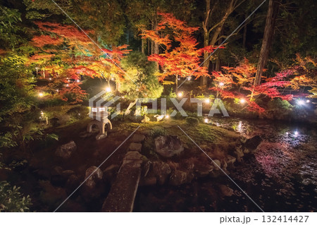 lantern and autumn foliage garden light up, Kurodani temple, Kyoto 132414427