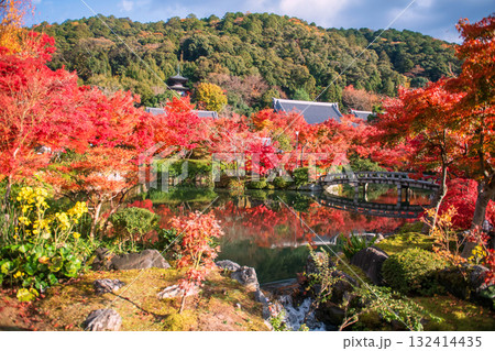 Beautiful autumn garden with Eikando pagoda on hill, Kyoto Beautiful autumn garden with Eikando pagoda on hill, Kyoto 132414435