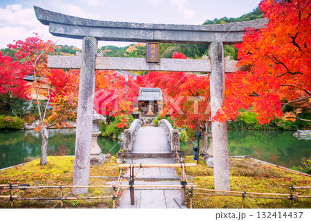 Torii gate and bridge to shrine at Eikando garden in autumn, Kyoto 132414437