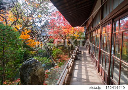 Eikando Zenrinji temple balcony by beautiful autumn foliage garden, Kyoto Eikando Zenrinji temple balcony by beautiful autumn foliage garden, Kyoto 132414440