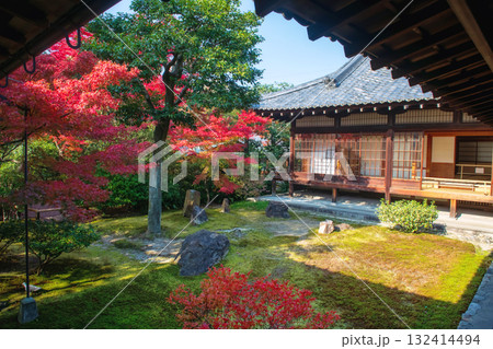 Colorful autumn leaf in garden by Kennin-ji temple, Kyoto, Japan Colorful autumn leaf in garden by Kennin-ji temple, Kyoto, Japan 132414494