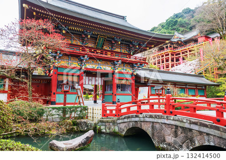 bridge to Sanmon gate of Yutoku Inari Shrine at spring, Kashima 132414500