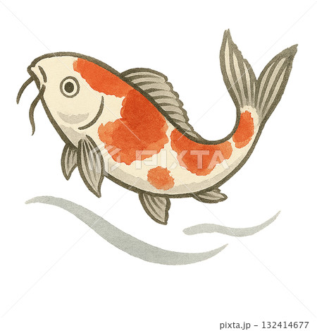 水彩で描いた鯉のイラスト 132414677