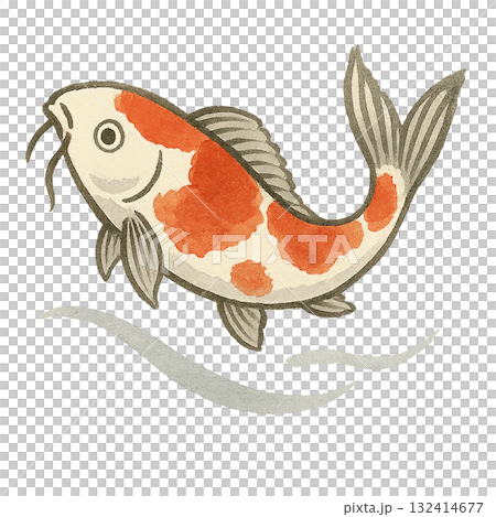 水彩で描いた鯉のイラスト 132414677
