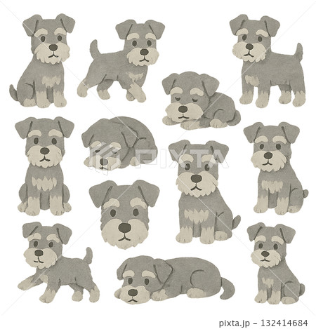 いろいろなミニチュアシュナウザーのイラストセット 132414684