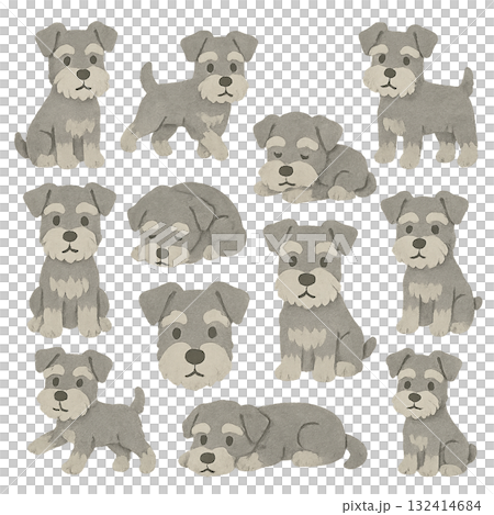 いろいろなミニチュアシュナウザーのイラストセット 132414684
