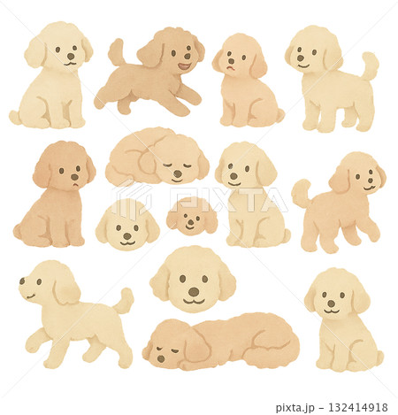 いろいろなトイプードルのイラストセット 132414918