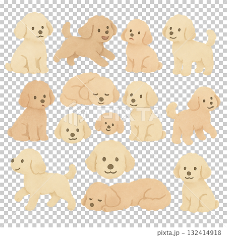 いろいろなトイプードルのイラストセット 132414918