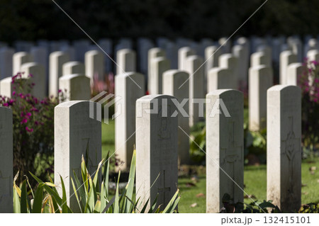 Ehrenfriedhof World War II military cemetery in Cologne Ehrenfriedhof World War II military cemetery in Cologne 132415101