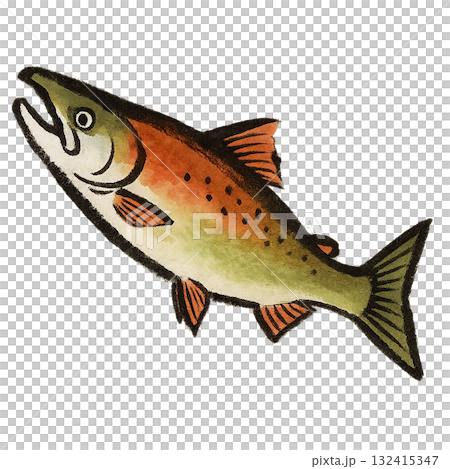 ジャンプする鮭 132415347