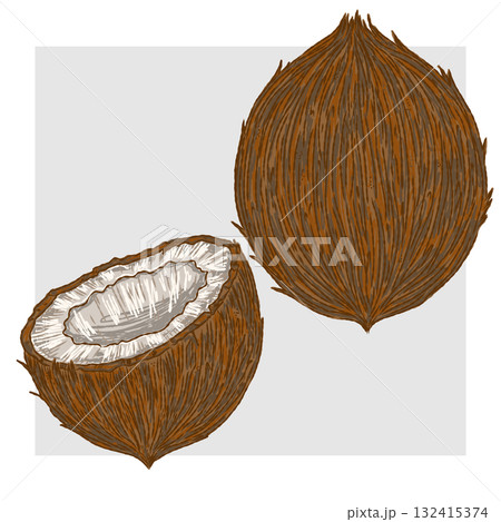 whole and half coconut on white background 132415374
