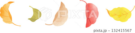カラフルな落ち葉のイラストセット 132415567