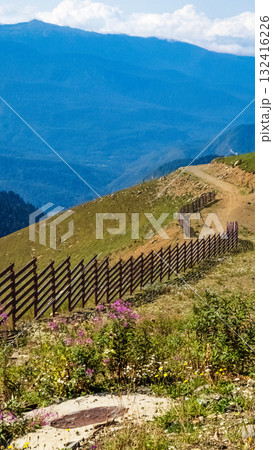 view of the mountains covered with forest view of the mountains covered with forest 132416226