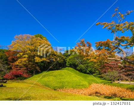 秋晴れの空の下で紅葉した木々に囲まれた緑鮮やかな築山 (東京都、文京区、小石川後楽園) 132417031