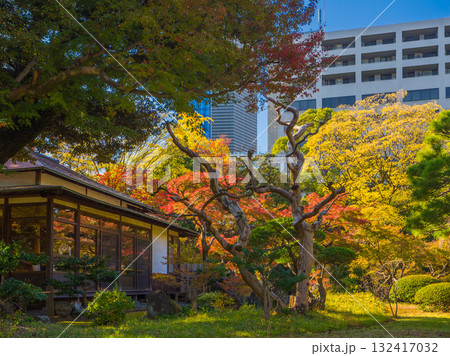 紅葉に囲まれた伝統的な日本家屋と背景の近代的な高層ビル (東京都、文京区、小石川後楽園) 132417032