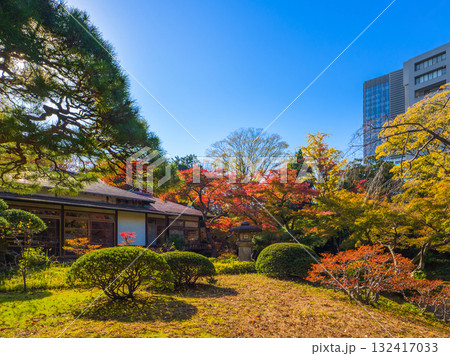 秋の日差しが差し込む日本庭園と紅葉に囲まれた伝統的な建物 (東京都、文京区、小石川後楽園) 132417033