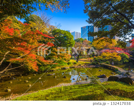 カラフルな紅葉が彩る川と橋がある伝統的な日本庭園の秋の風景 (東京都、文京区、小石川後楽園) カラフルな紅葉が彩る川と橋がある伝統的な日本庭園の秋の風景 (東京都、文京区、小石川後楽園) 132417038