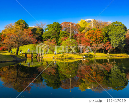 雪吊り準備中の松と色鮮やかな紅葉が水面に映り込む秋の庭園 (東京都、文京区、小石川後楽園) 雪吊り準備中の松と色鮮やかな紅葉が水面に映り込む秋の庭園 (東京都、文京区、小石川後楽園) 132417039