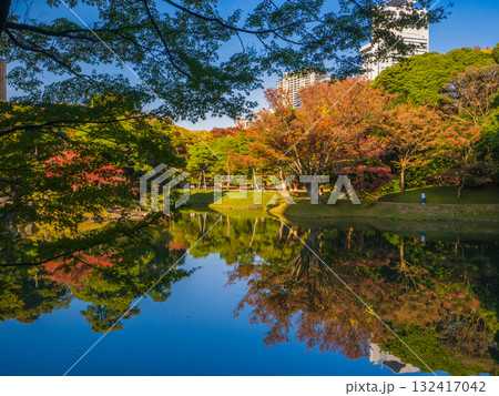 緑と赤の紅葉が池の水面に映り込む色彩豊かな秋の庭園 (東京都、文京区、小石川後楽園) 132417042
