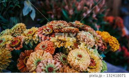 Zinnia Blooms in Warm Hues at a Hokuto Florist in Yamanashi Prefecture Japan 132418071