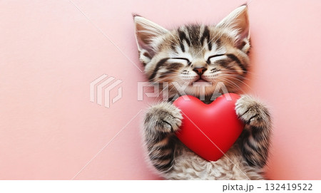 Adorable kitten cuddling a heart-shaped pillow. Adorable kitten cuddling a heart-shaped pillow. 132419522