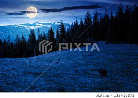 mountain landscape with spruce forest in spring at night. meadow on the hill on a in full moon light. distant range with peaks in snow under sky with clouds. beautiful countryside scenery mountain landscape with spruce forest in spring at night. meadow on the hill on a in full moon light. distant range with peaks in snow under sky with clouds. beautiful countryside scenery 132419872