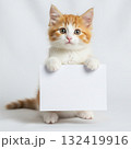 Young kitten with soft orange and white fur, standing upright against a plain white background. It holds a blank white sign with its front paws 132419916