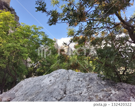calm overlook with lush greenery and rocks, tranquil scene featuring mossy rocks and pine branches 132420322