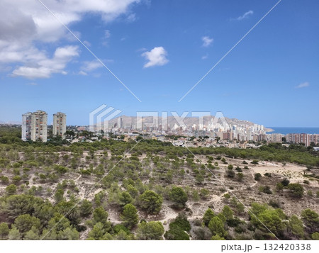 vibrant seaside view, sunlit coast with lush pines, coastal landscape with blue sky and trees vibrant seaside view, sunlit coast with lush pines, coastal landscape with blue sky and trees 132420338