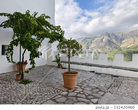 charming sunlit courtyard with greenery, bright courtyard featuring potted plants and stone paths 132420460