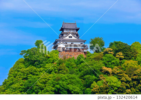 【愛知県】現存天守 犬山城（国宝5城） 132420614