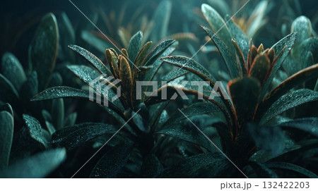 Dark foliage plant close up, digital art style, dewy leaves with dramatic lighting. 132422203