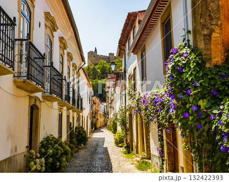 Cobblestone alley ornated with summer flowers, leading to the convent of Christ, Tomar, Portugal Cobblestone alley ornated with summer flowers, leading to the convent of Christ, Tomar, Portugal 132422393