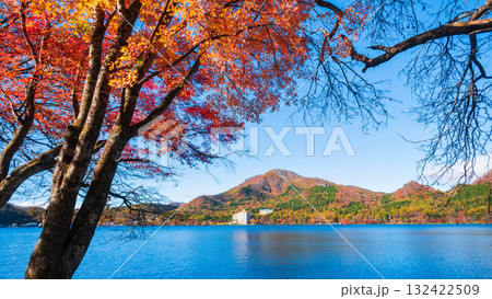 榛名山・榛名湖・掃部ヶ岳（秋） 132422509