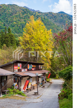 奥飛騨温泉郷《福地温泉》の秋 朝市会場 132422863