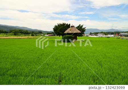 遠野遺産第37号荒神神社 132423099