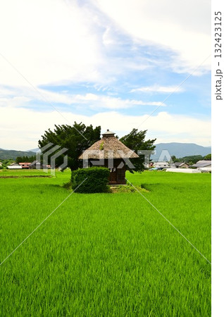 遠野遺産第37号荒神神社 132423125