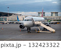 The plane is at Pulkovo airport. 132423322