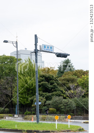 国会前交差点の風景 132423513
